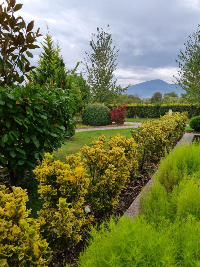 Guesthouse Green Fields Garmen Bagian luar foto